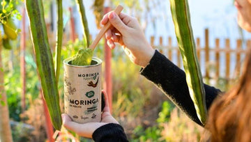 Moringa Nature, Pechina