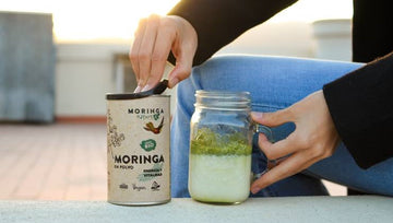Moringa en otoño
