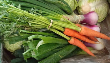 Verdura Ecológica