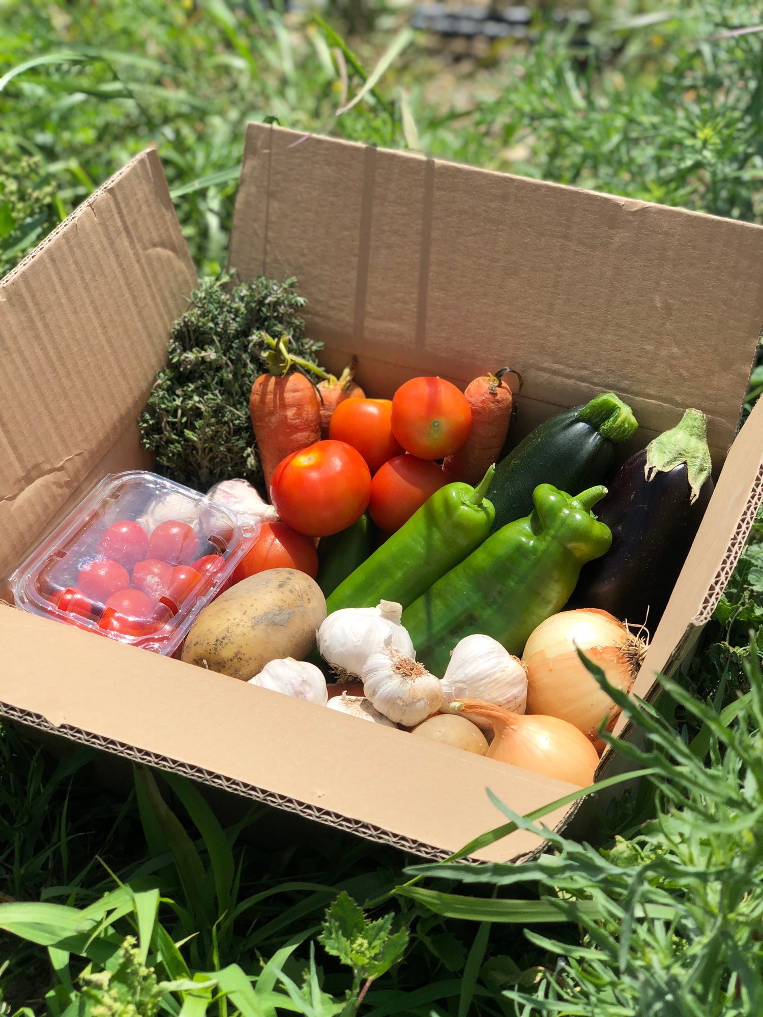 CAJA DE VERDURA BIO (1-2 Personas) Finca Las Moreras