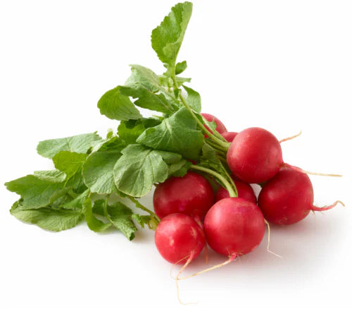 RABANO ECOLÓGICO 500 gr. (copia) Bio