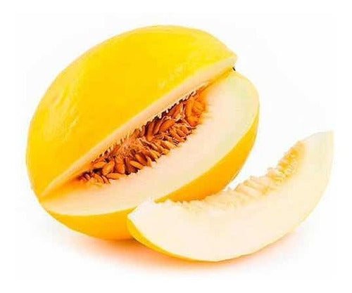 MELÓN AMARILLO ECOLÓGICO (Unidad) Bio